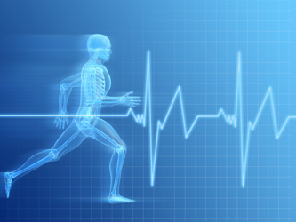FitnesScience of Long Island - Fitness Assessment with Postural and Movement Analysis
