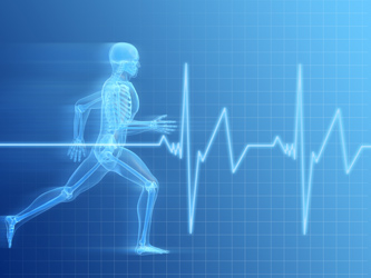 FitnesScience of Long Island - Fitness Assessment with Postural and Movement Analysis
